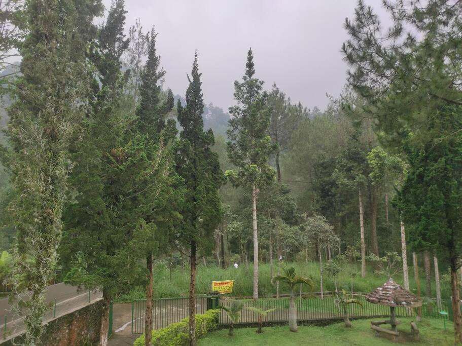 Sejuk Village *
